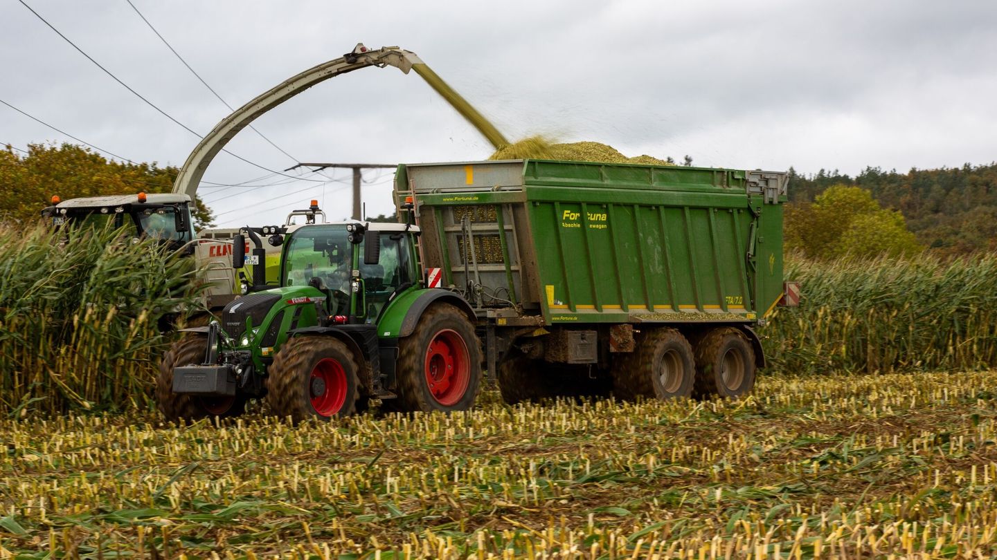 Los residuos agrícolas pueden convertirse en fuente de energía. (EFE/C. Zinn)