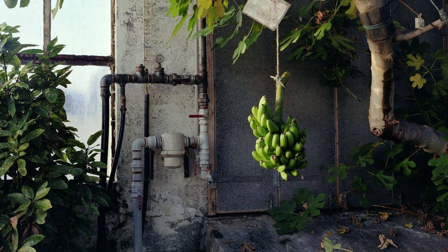 'Experimento Banana', de Juan Baraja