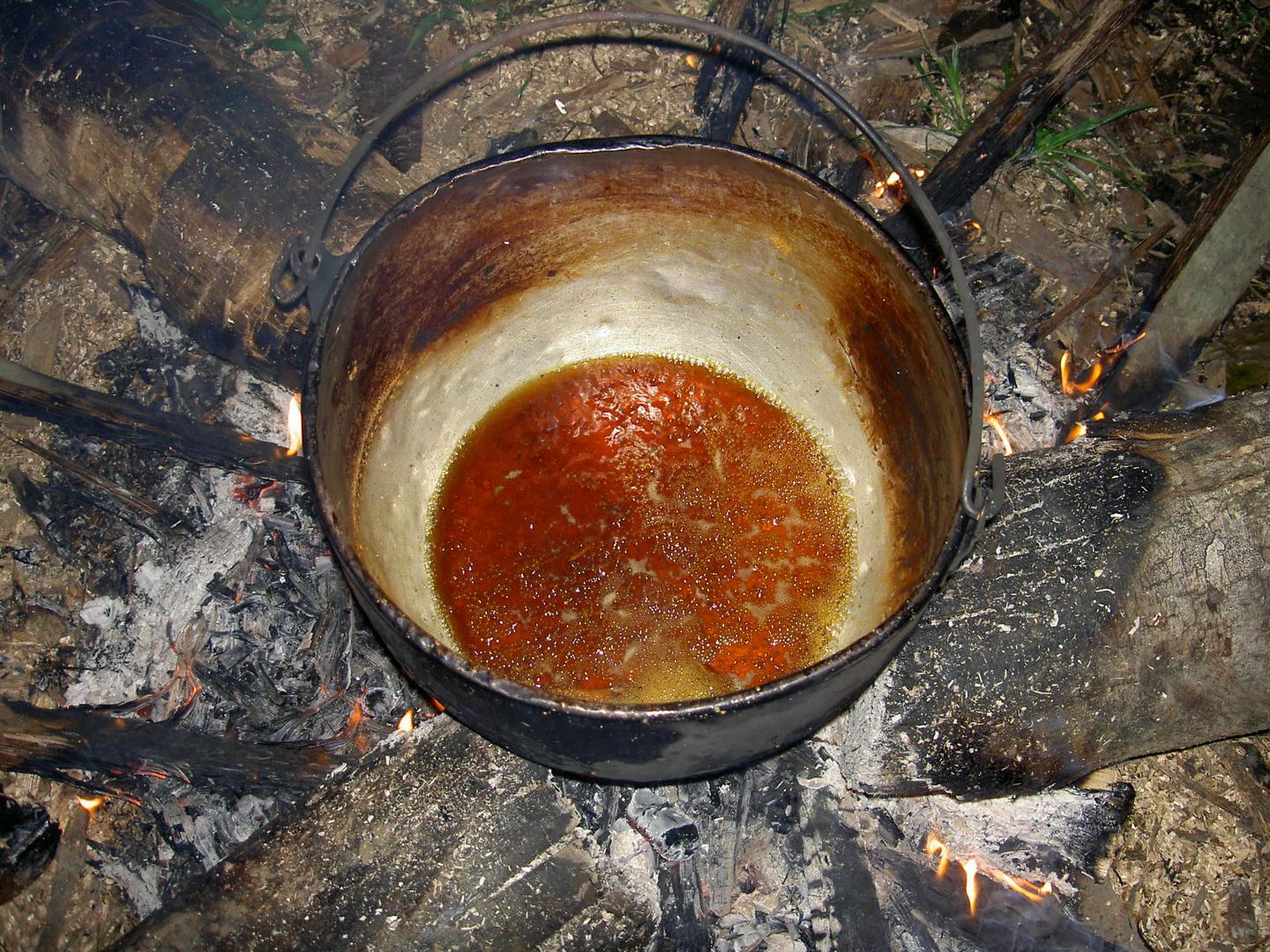 Preparación de ayahuasca. (Wikicommons)