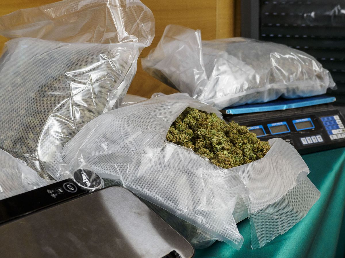 Foto: Bolsas de marihuana incautadas por la Guardia Civil. (EFE/José Del Olmo)
