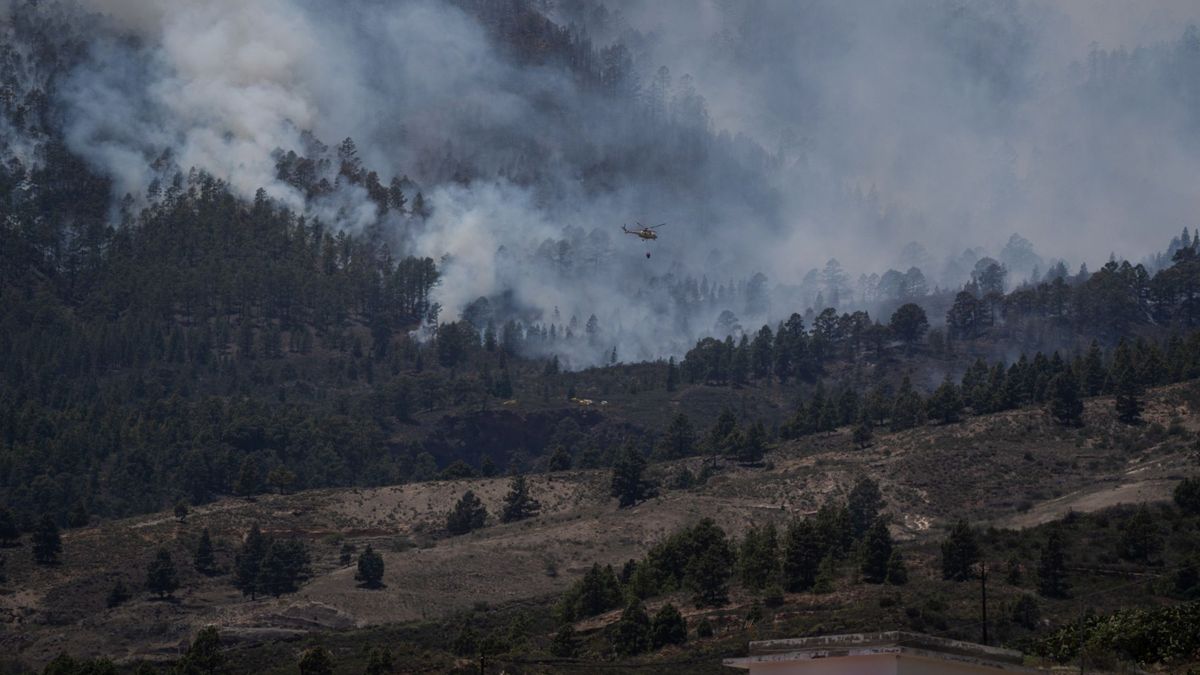La UME se incorpora a las labores de extinción del fuego de Tenerife