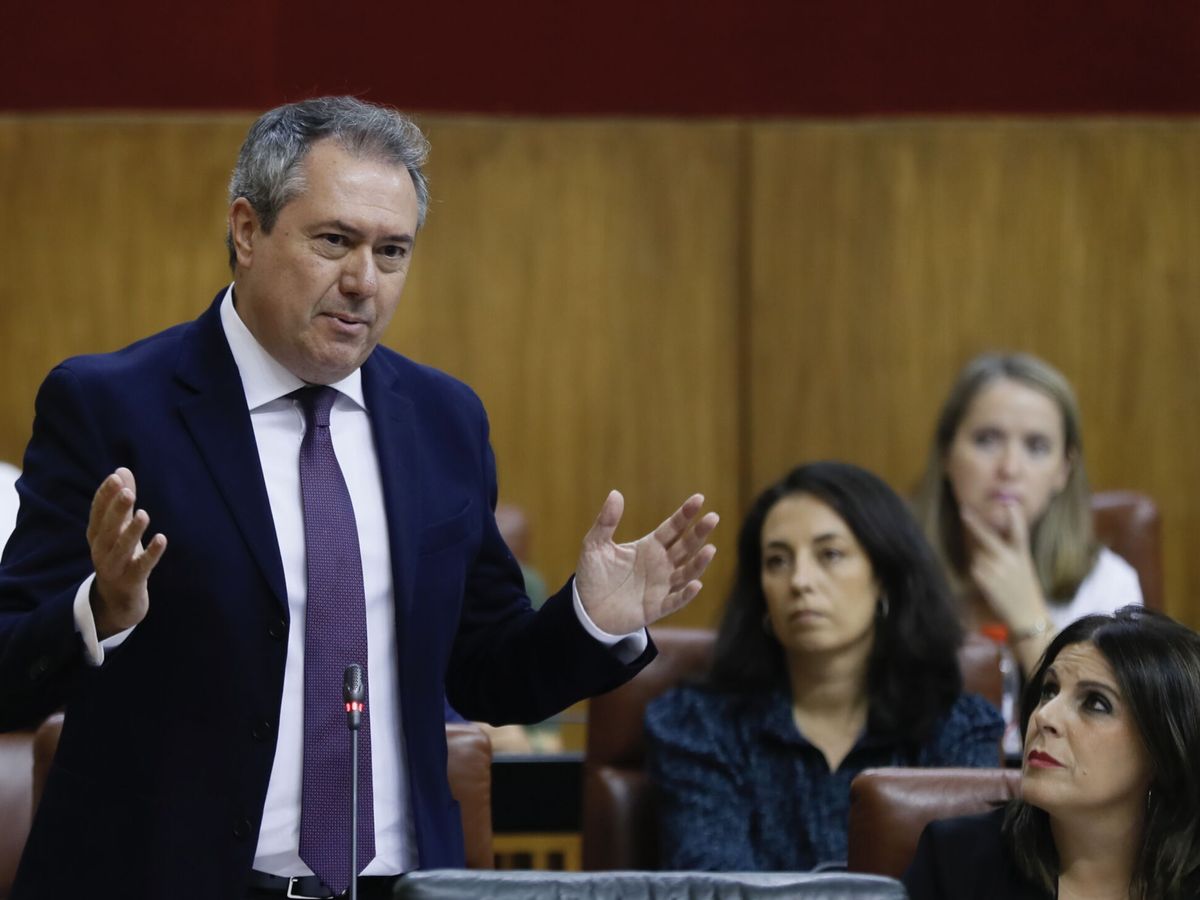 Foto: Juan Espadas, en el Parlamento andaluz durante un pleno. (EFE/José Manuel Vidal)