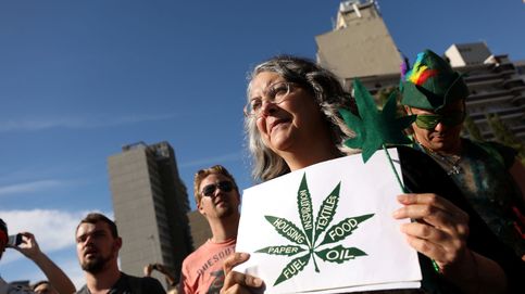 ¿Será la marihuana el próximo oro verde?