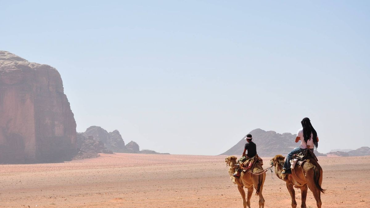Encuentran unos camellos tallados en una superficie rocosa en Arabia Saudí 