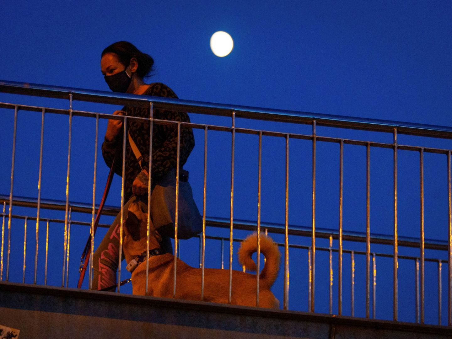 Una mujer con mascarilla pasea a su perro en Barcelona. (EFE)
