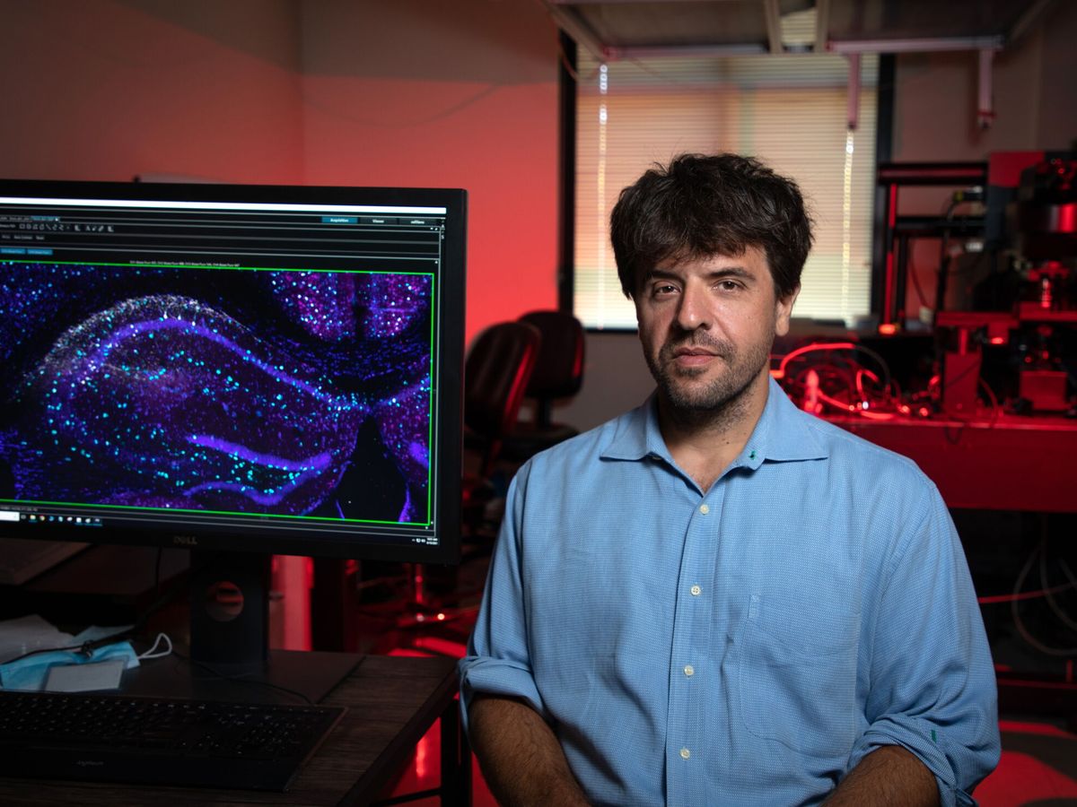 Cientistas recebem Prêmio Nobel de Medicina por criar técnica que controla neurônios com a luz