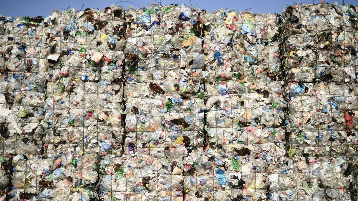 Notable en envases, suspenso en orgánico: lo que puedes reciclar (y no haces)