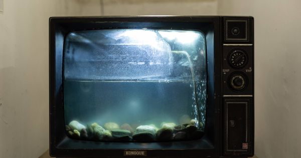 Foto: Una antigua televisión, convertida en acuario. (Foto: Unsplasj)