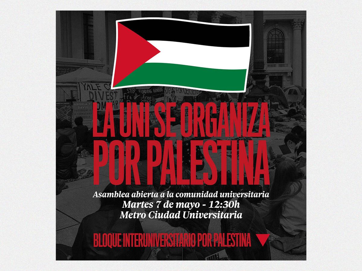 Foto: Cartel de la convocatoria por Palestina en Madrid.