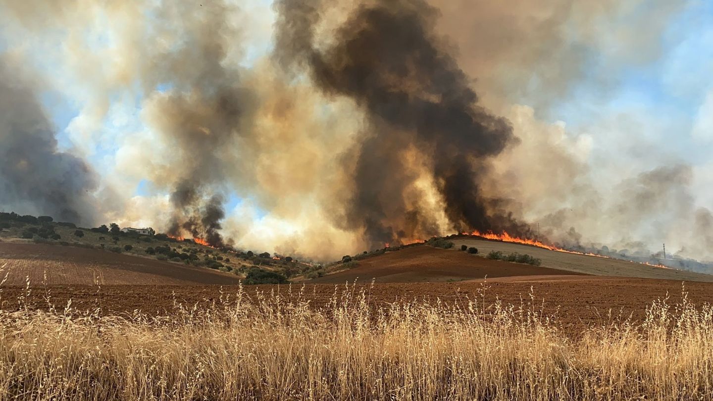 Columna de humo del incendio de cereal y pasto originado en la localidad madrileña de Valdepiélagos. (EFE)