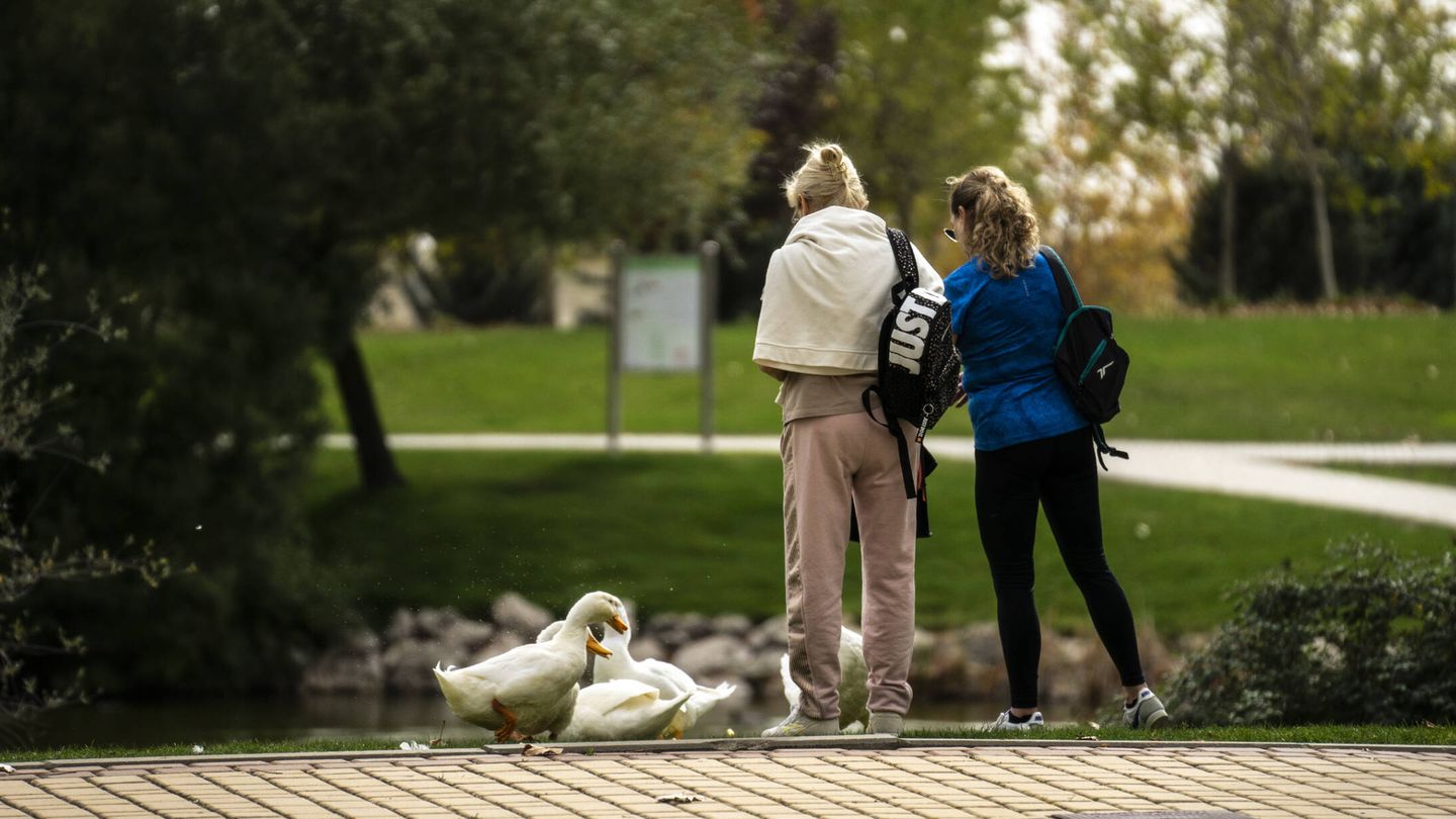 Dos vecinas alimentan a los patos del lago de Valdeluz. (A. B.)