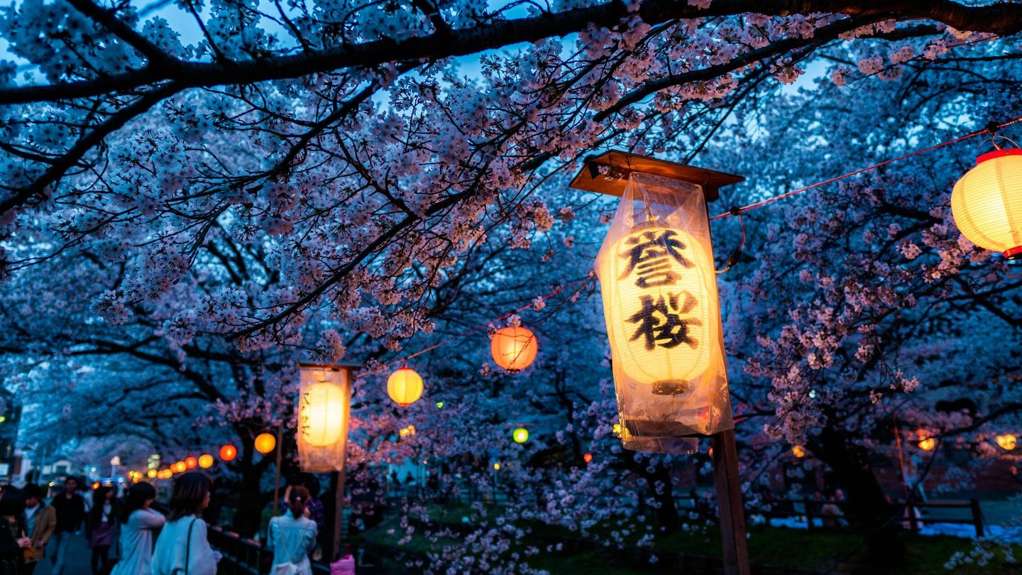 'Sakura' nocturno. (Foto: Unsplash).