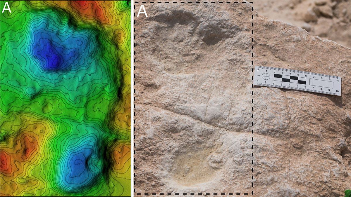 Encuentran huellas de Homo sapiens de 120.000 años de antigüedad 