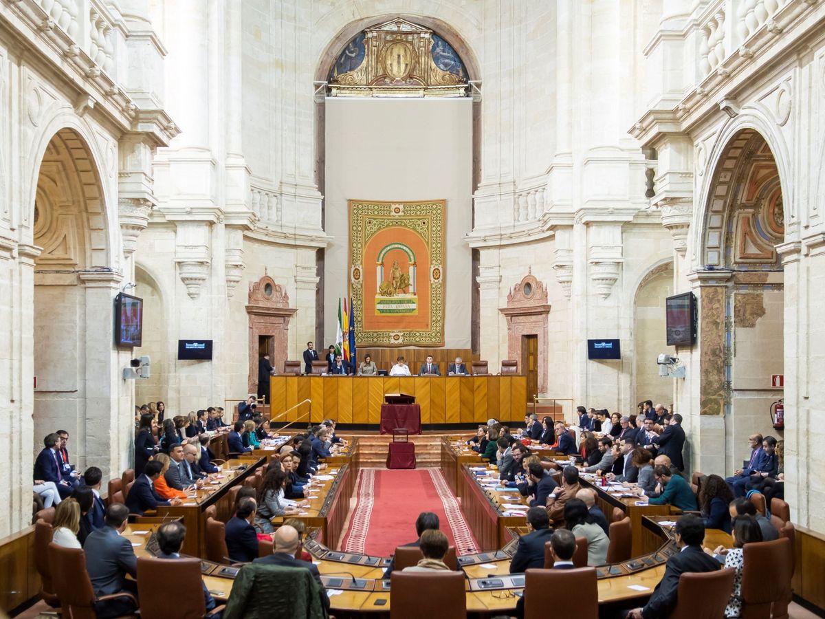 Foto: Vista del Parlamento de Andalucía. (EFE)