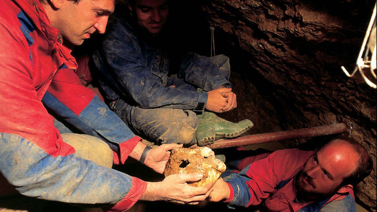 Los primeros humanos de Atapuerca pudieron sobrevivir al frío hibernando