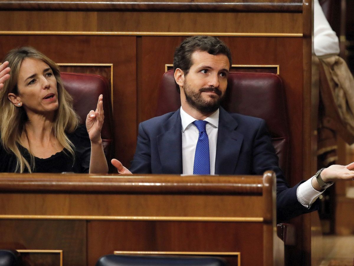 Foto: El líder del PP, Pablo Casado, en su escaño durante la sesión de investidura. (EFE)