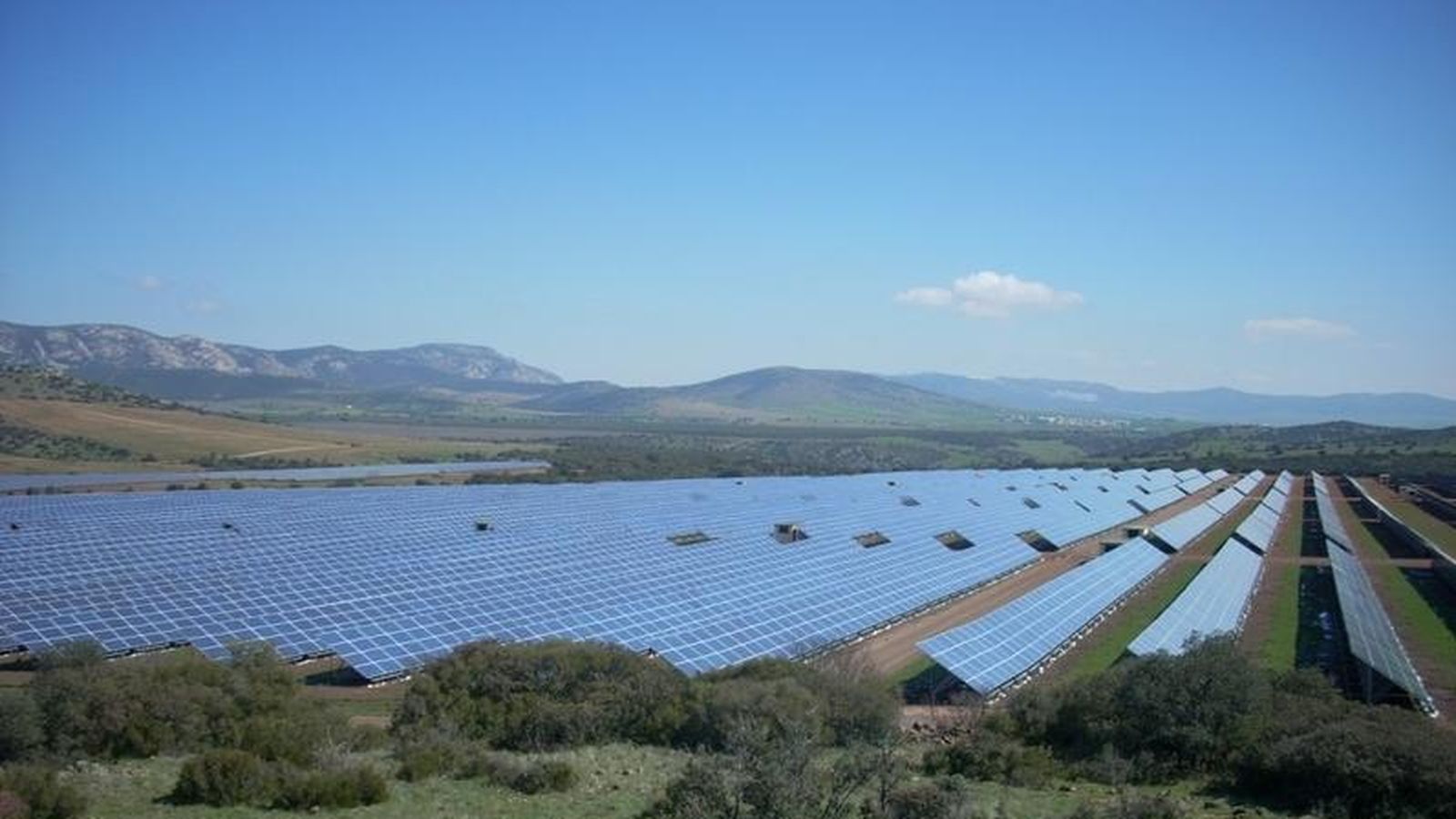 Foto: Paneles solares de Renovalia en Puertollano. (Foto: Renovalia)