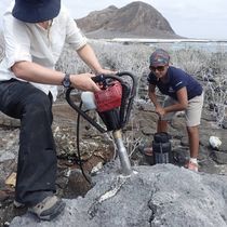 Foto: Una investigadora toma una muestra de un coral antiguo (Universidad de Míchigan/Julia Cole)