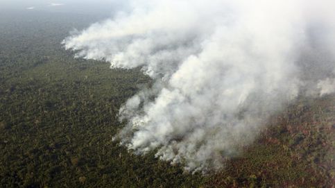 48.000 hospitalizaciones: el coste de la contaminación de los incendios forestales en Brasil
