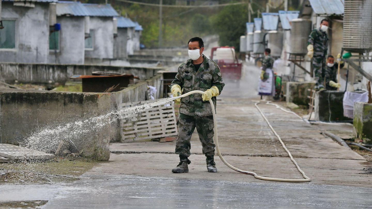 Un trabajador desinfecta una granja de cerdos en la provincia de Sichuan, China. (EFE)