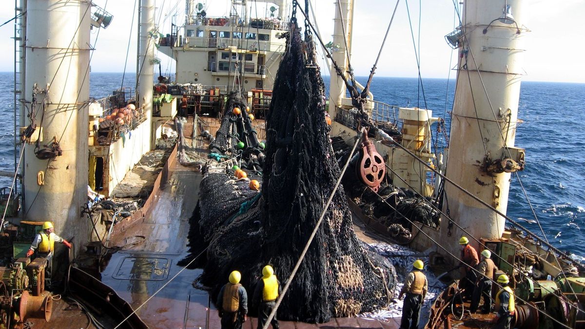 ¿Por qué Greenpeace está tirando rocas gigantes al mar?