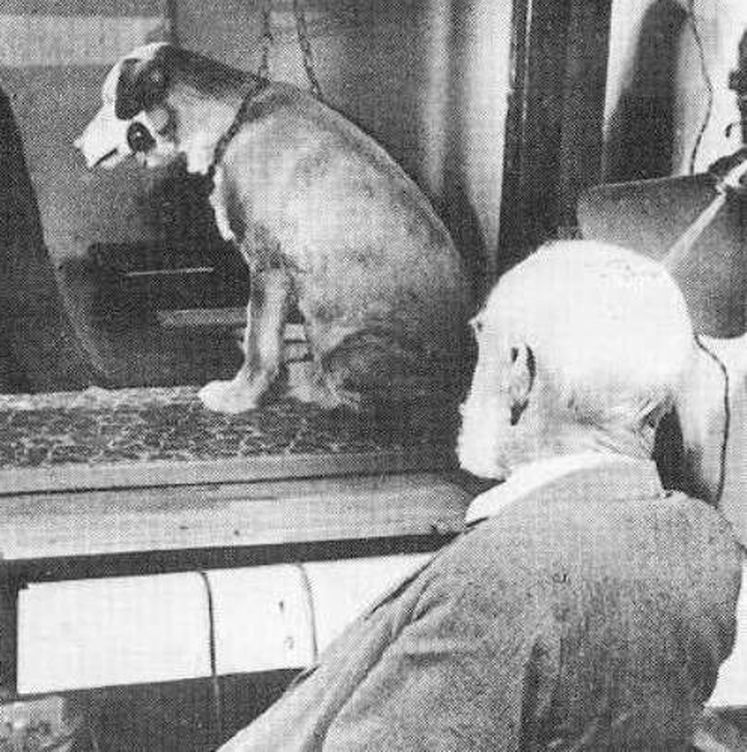 Ivan Paulov con uno de sus perros en sus estudios sobre acondicionamiento clásico.