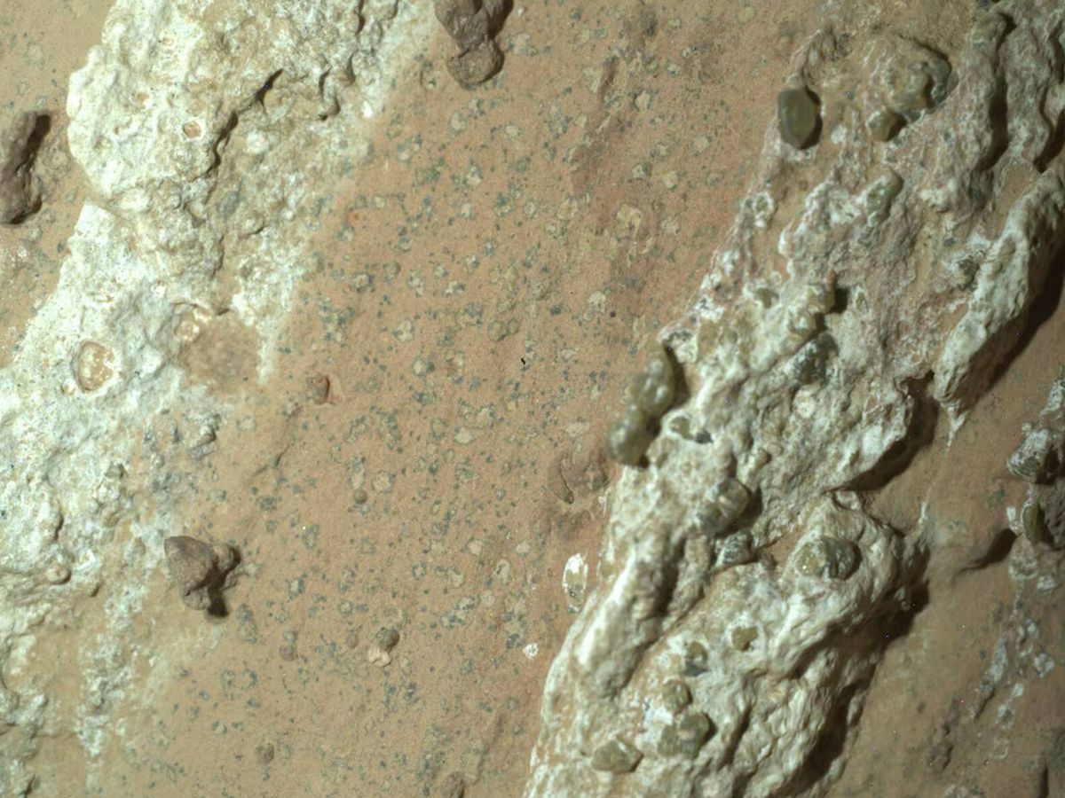 La NASA encuentra una roca en Marte con "intrigantes" rastros de vida 