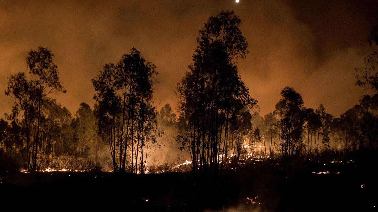 Incendio forestal en Galicia. (EFE)