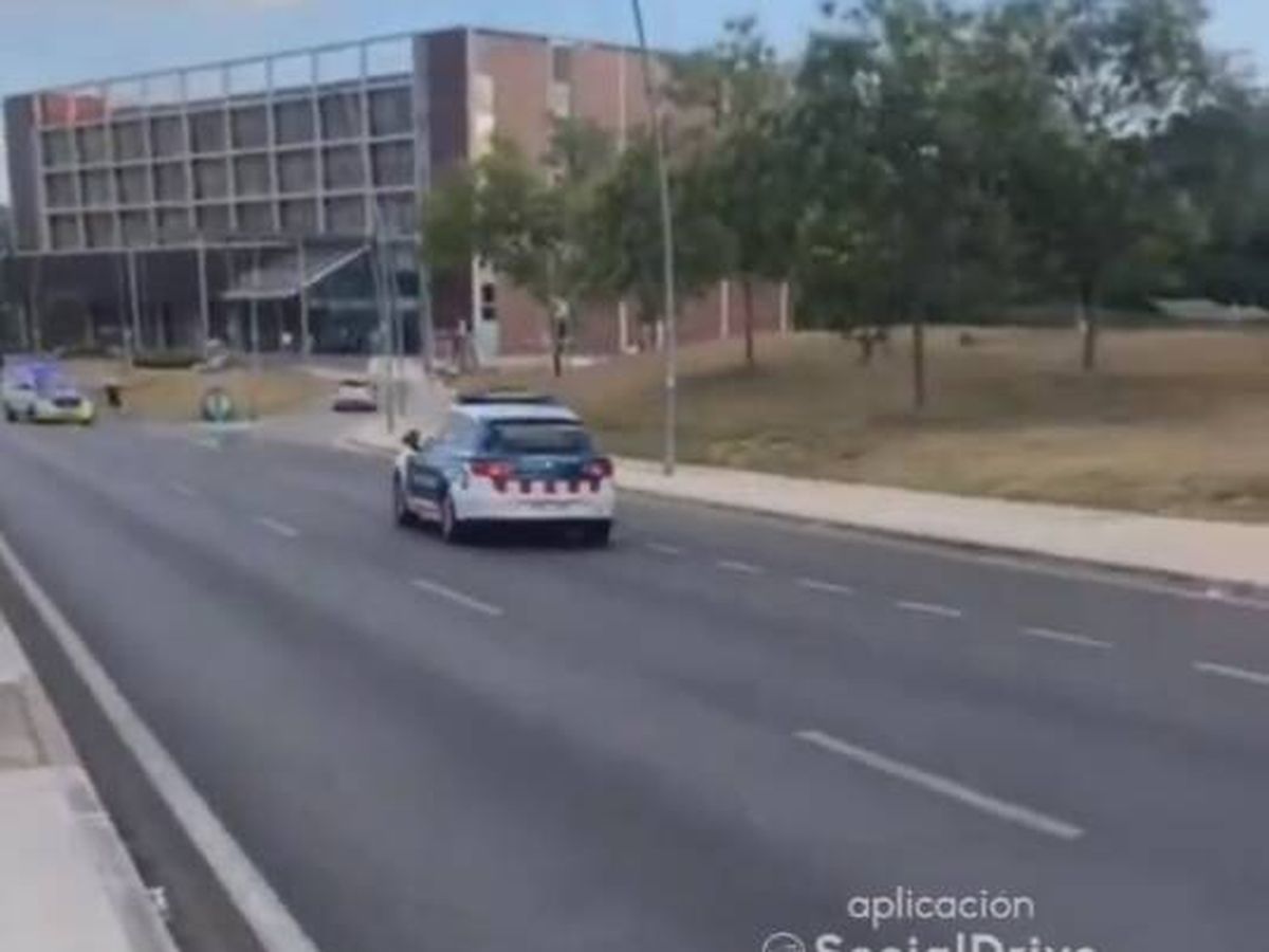 Foto: Un conductor huye de la policía en una persecución y el lugar donde acaban es surrealista.(Twitter)