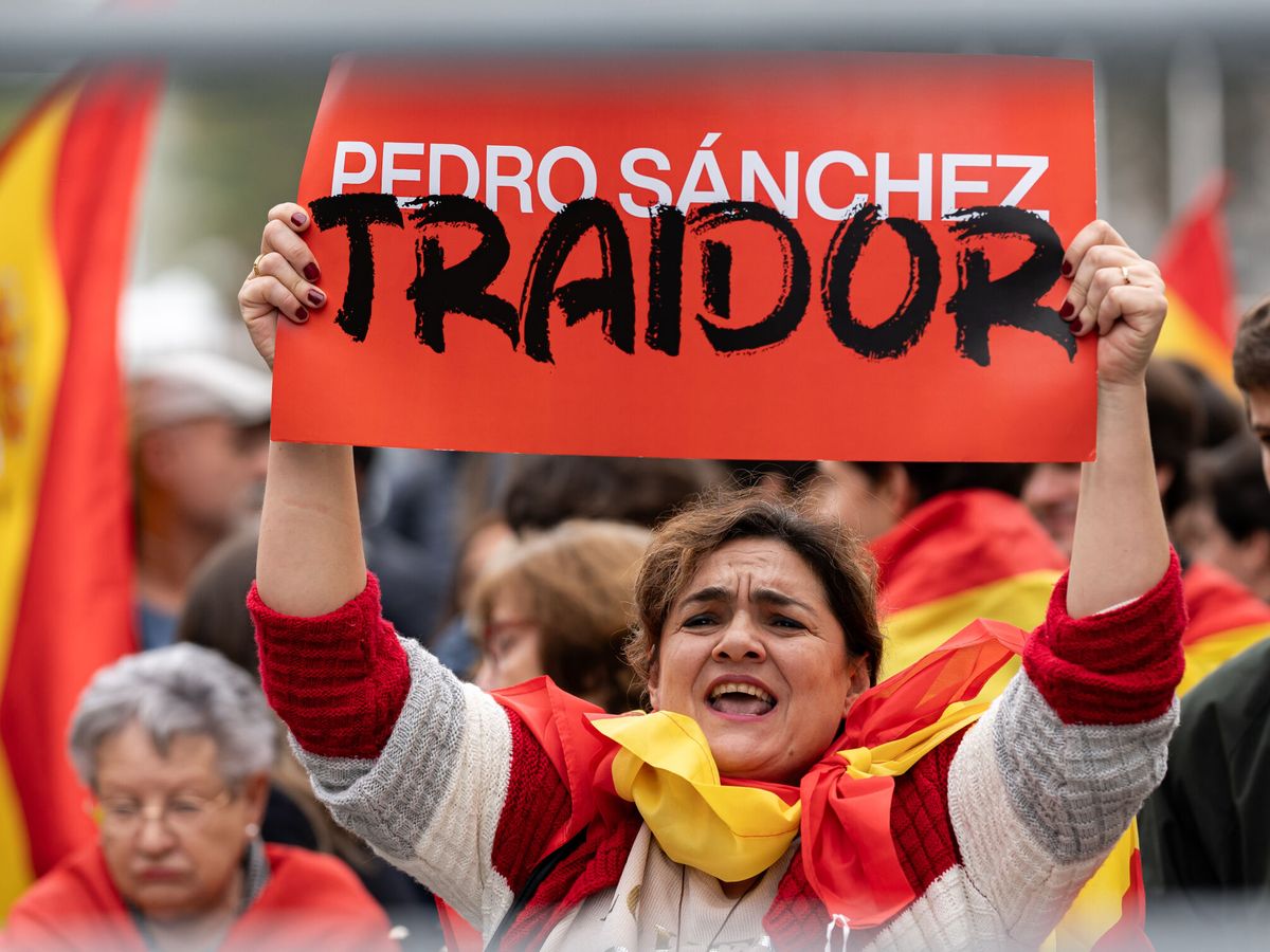Foto: Una manifestante sujeta una pancarta durante una protesta contra la investidura de Pedro Sánchez. (Europa Press/Diego Radamés)