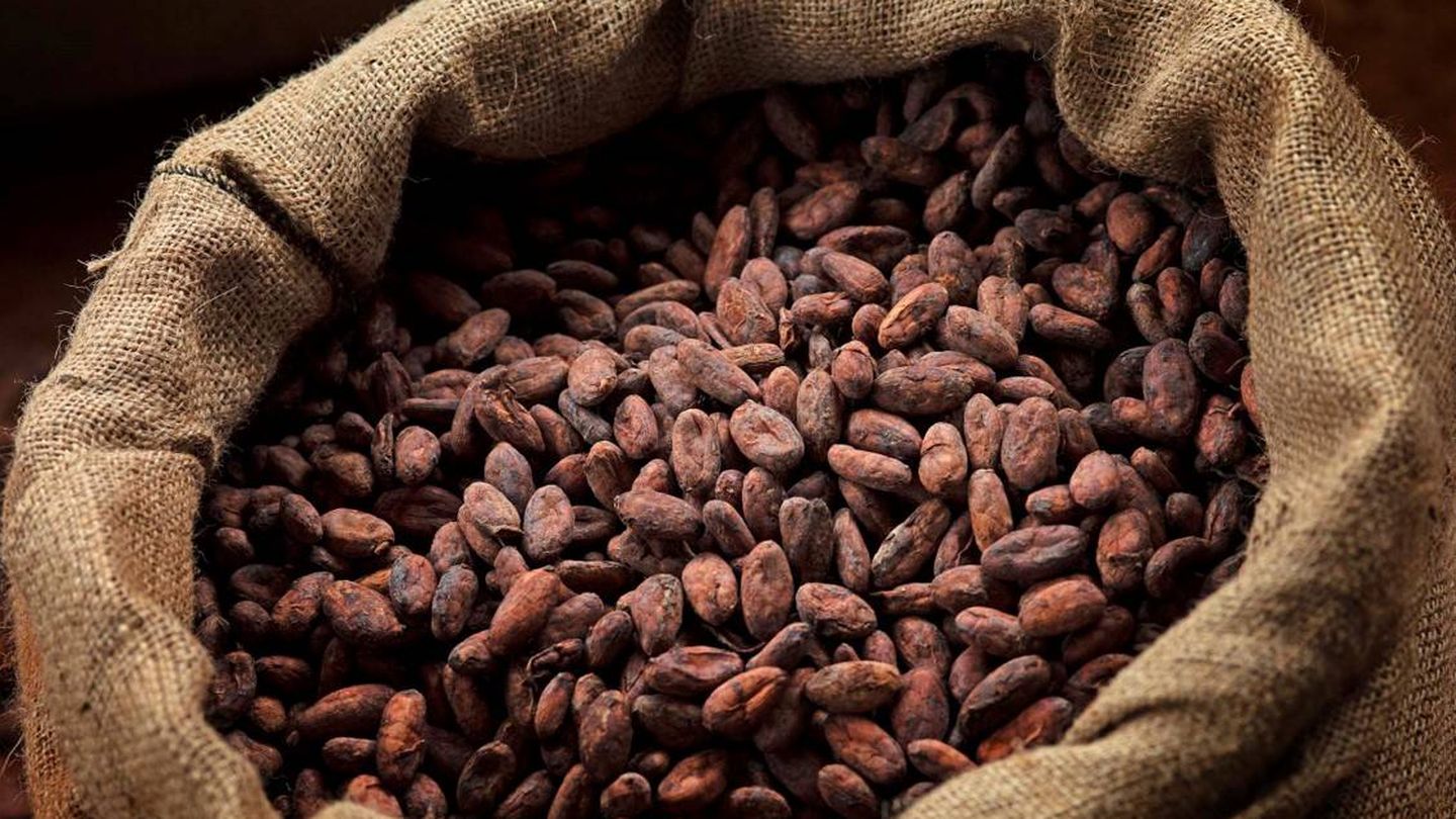 Cacao natural. 