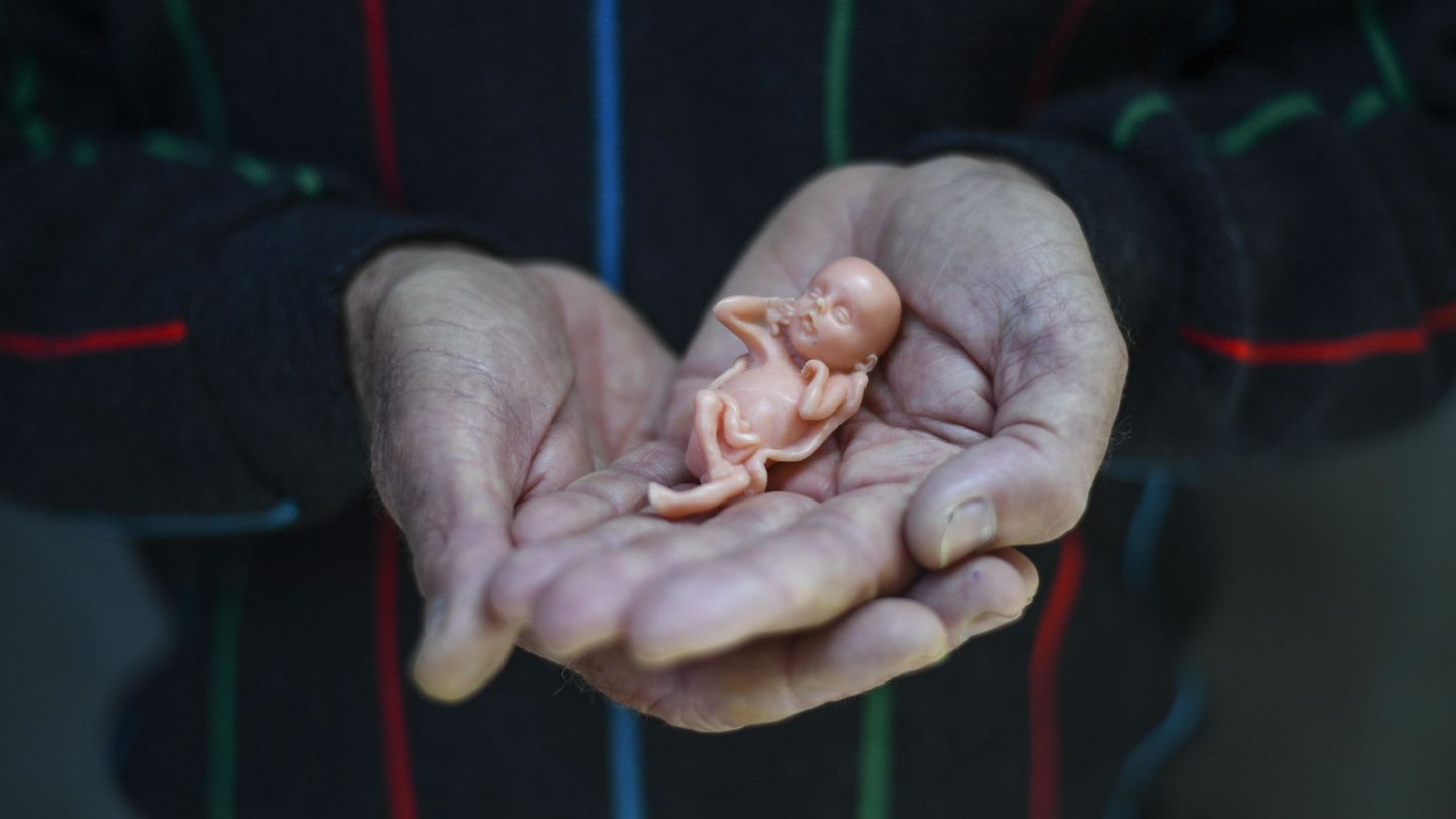 El activista anti-aborto John Preston, con un modelo de un feto de 12 semanas de edad frente al Tribunal Superior de Australia en Canberra. (EFE)