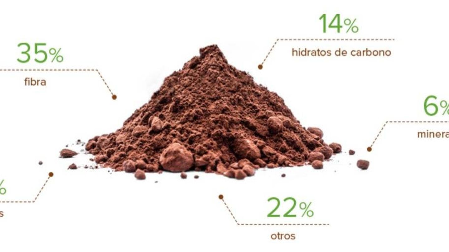 Composición del cacao.