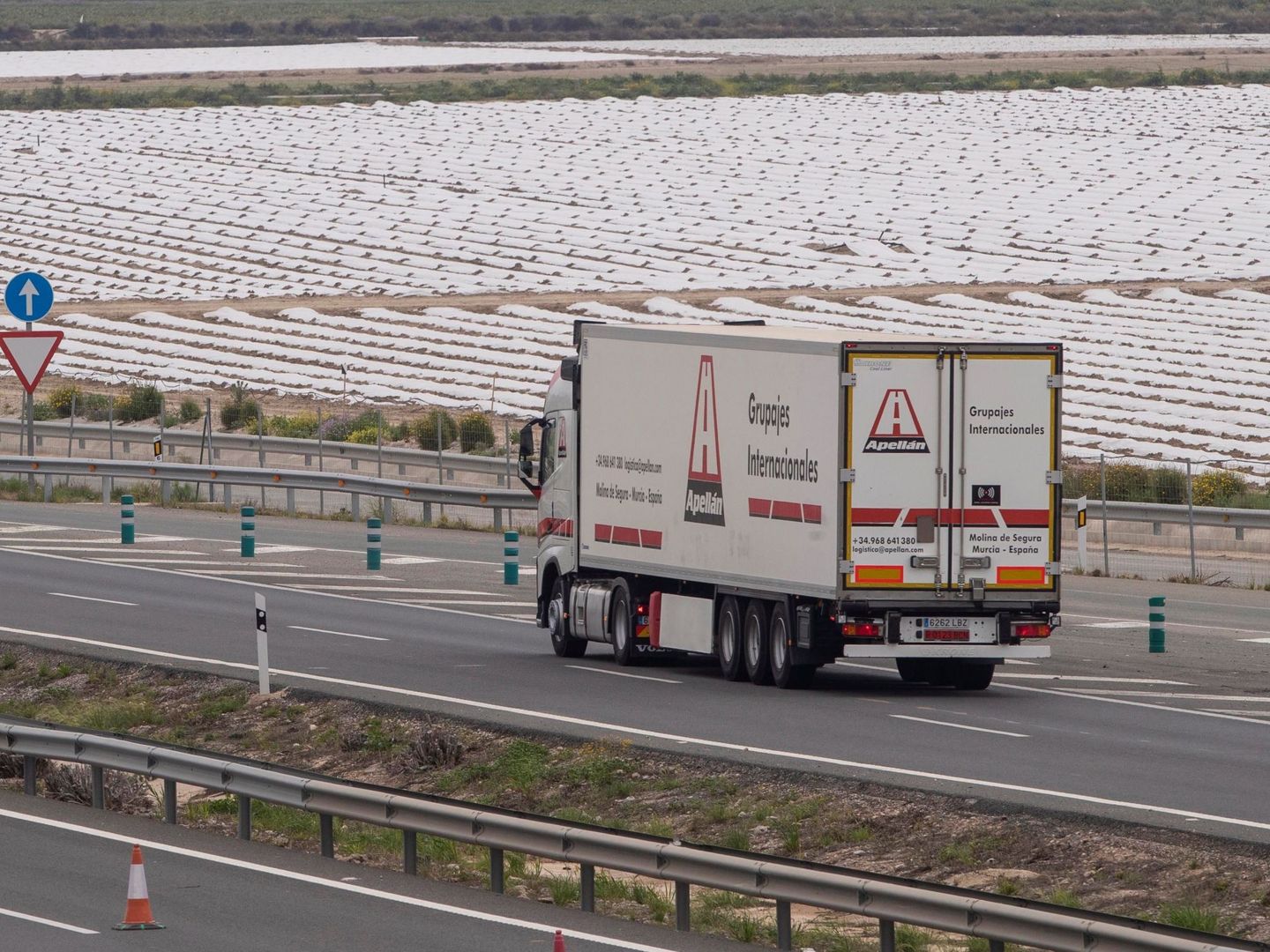 Un camión frigorífico circula junto a una finca de lechugas por la autovía A-30. (EFE/Marcial Guillén)