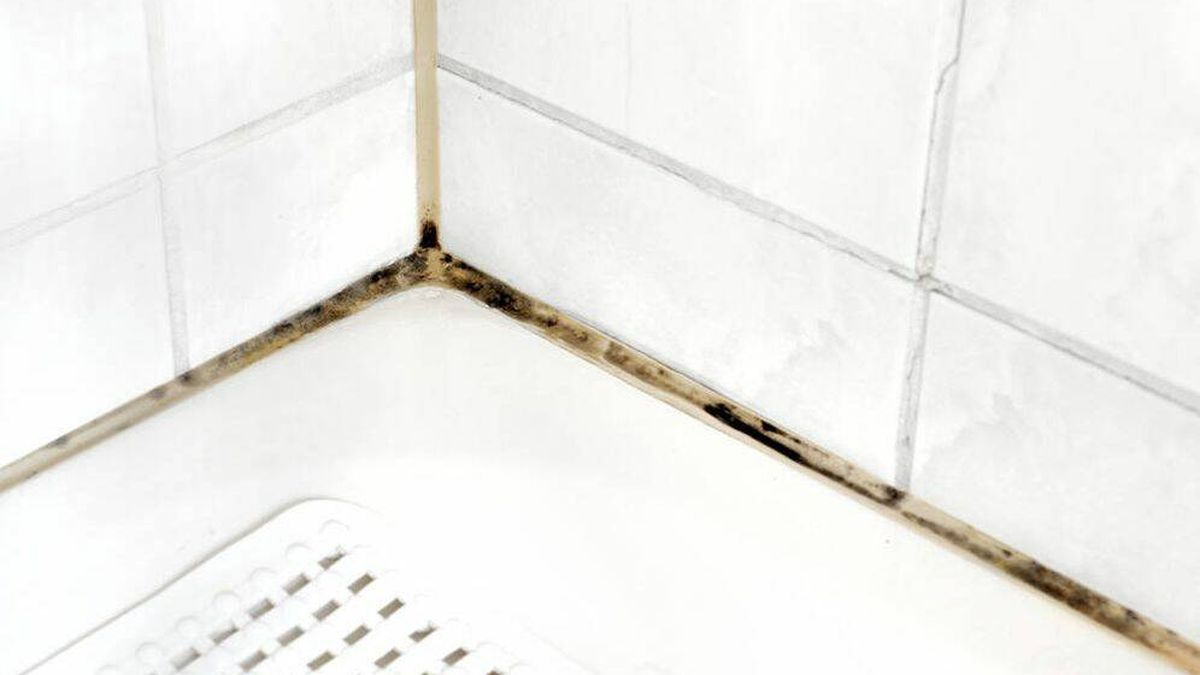 Así puedes eliminar (por fin) el moho negro de la silicona de tu bañera o plato de ducha