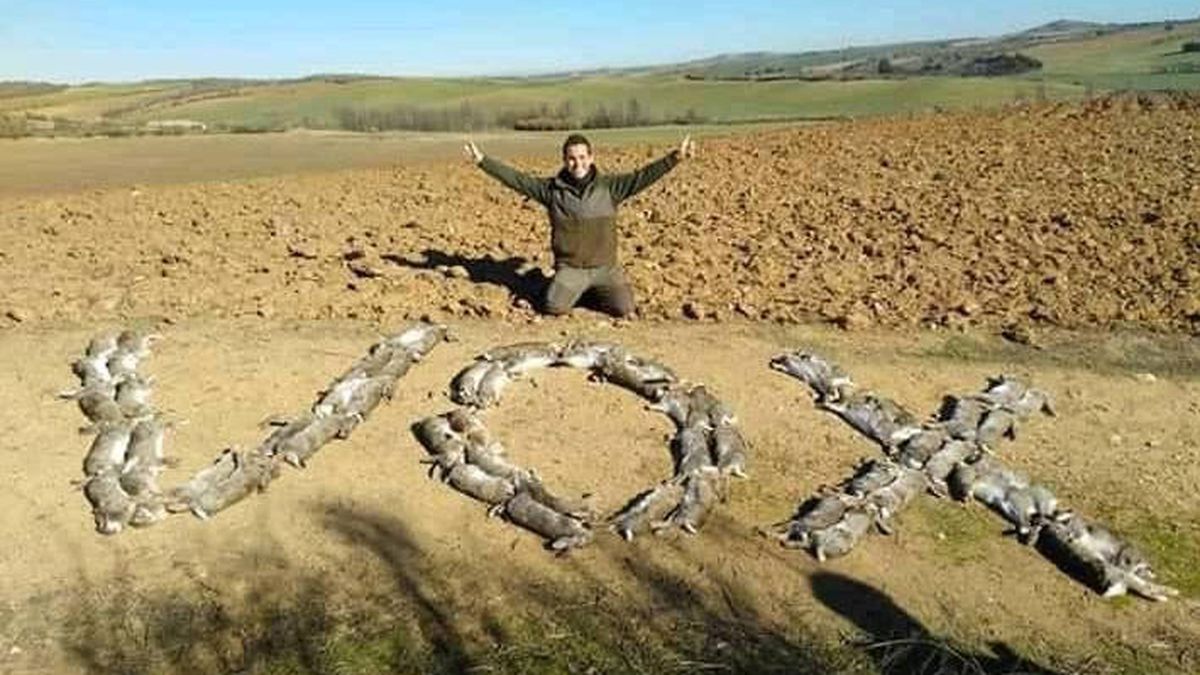 Un cazador apoya a VOX formando su nombre con 60 liebres muertas