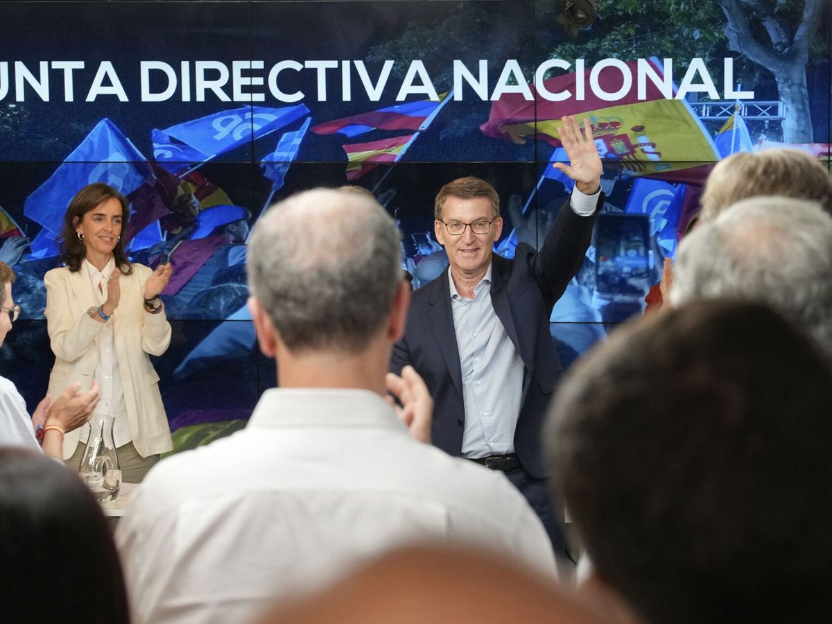 Foto: Alberto Núñez Feijóo, en una reunión de la junta directiva nacional del PP. (EFE/PP/David Mudarra)