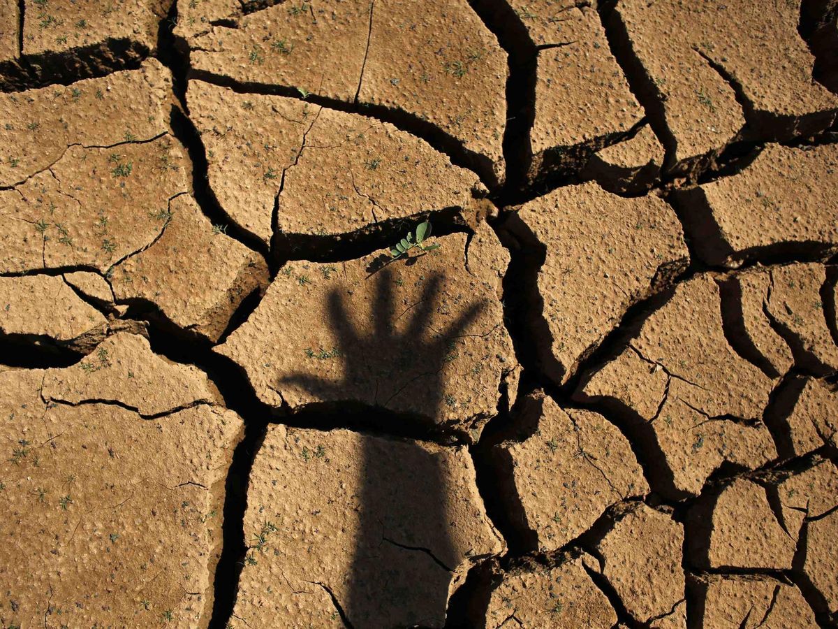Foto: La situación de sequía se cronifica en España. (Reuters/Nacho Doce)