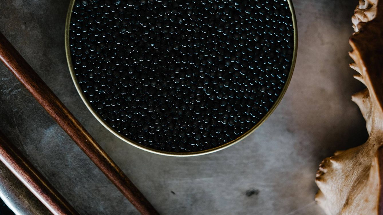 Foto: Su escasez, el largo tiempo de cría y el minucioso proceso de retirada de las huevas hacen del caviar un lujo entre los lujos. (Rachel Claire)