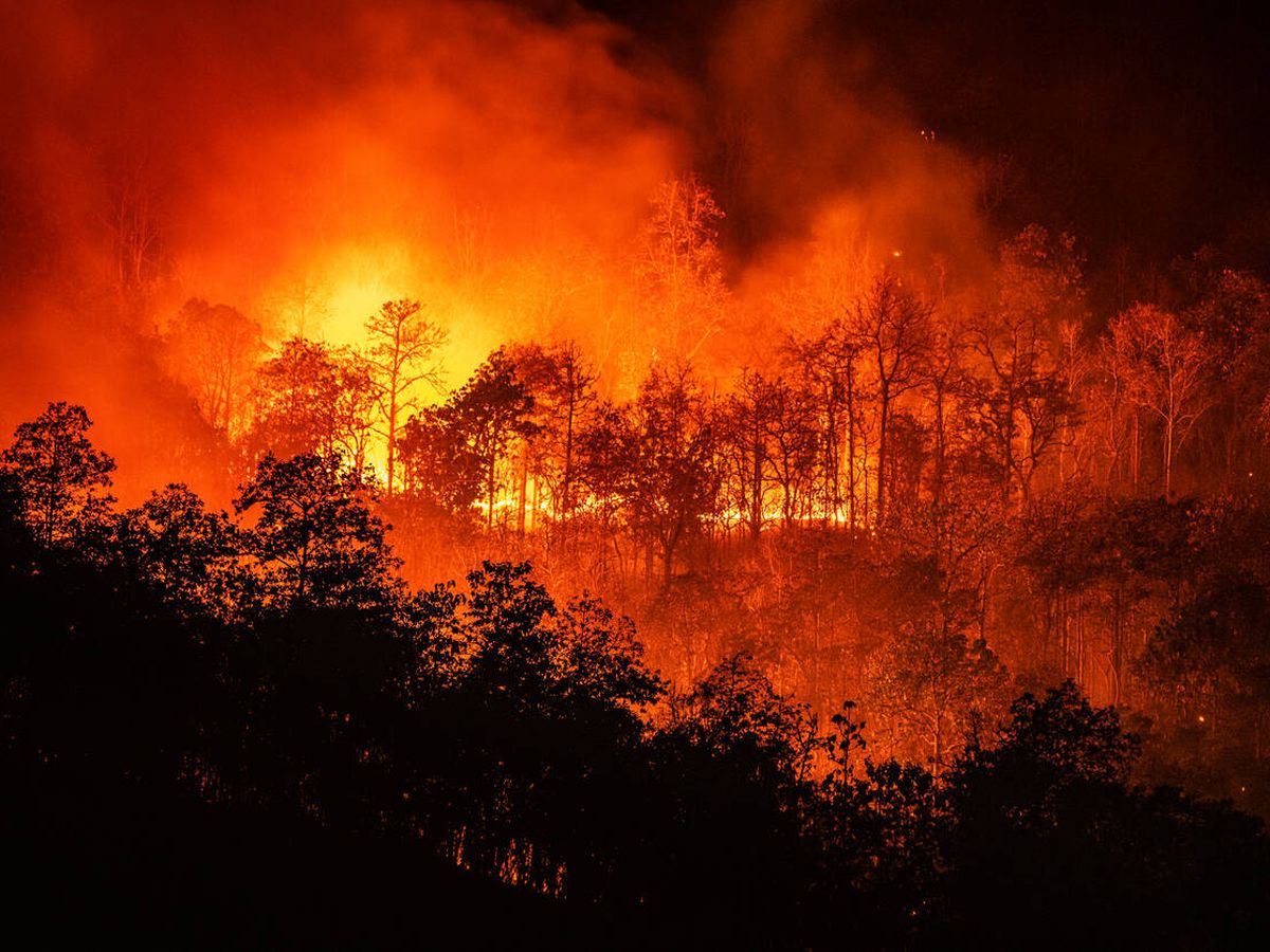 Foto: Incendio forestal en la noche en la montaña con gran humo (iStock)