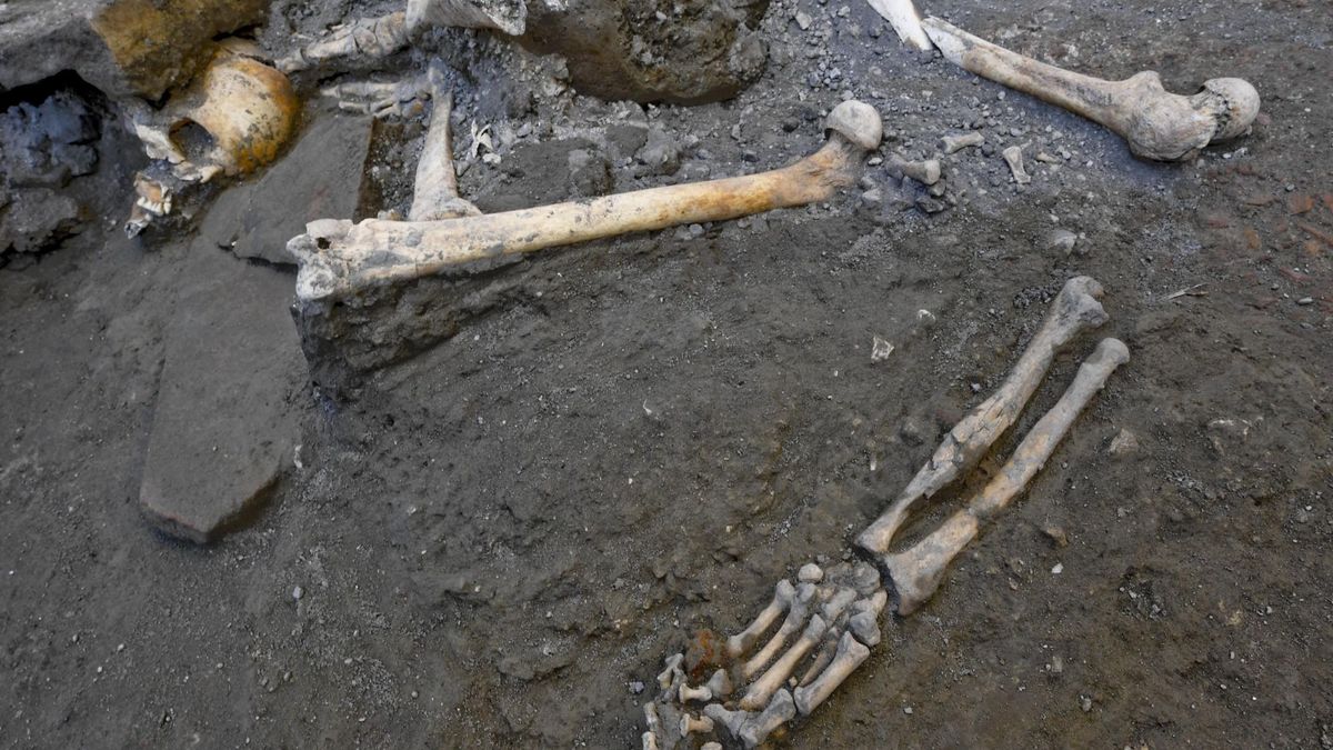 Encuentran nuevos restos humanos en Pompeya que revelan detalles sobre la erupción