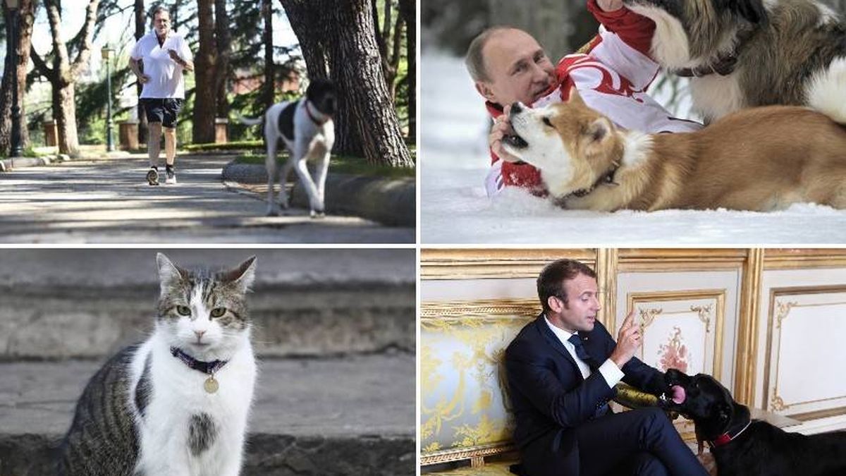 El perro que hace footing con Rajoy y otras mascotas de líderes mundiales