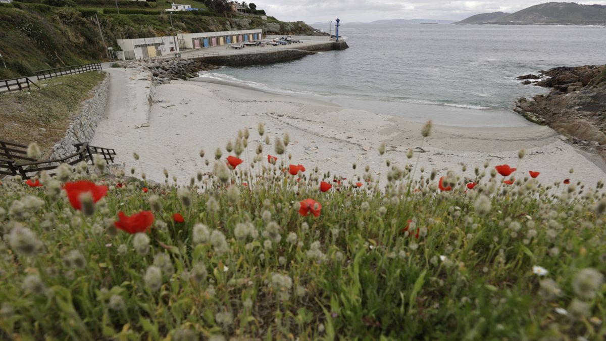 Localizan sin vida en la playa de Maniños a la mujer de Fene (A Coruña) desaparecida