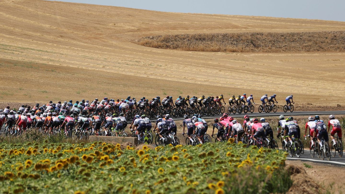 El pelotón ciclista durante la segunda etapa de la Vuelta a España entre Caleruega y Burgos. (EFE)
