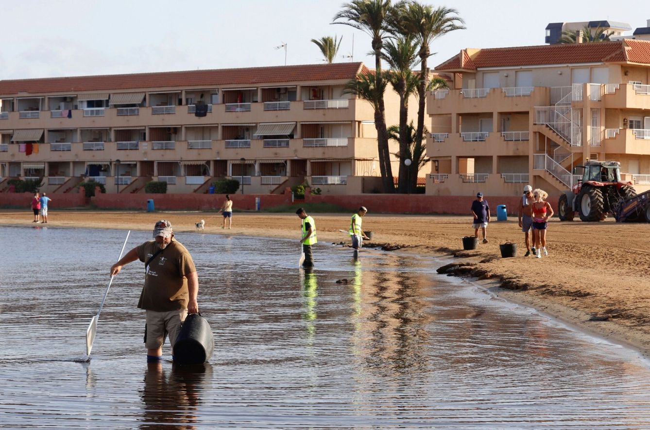 Voluntarios limpiando las aguas del Mar Menor. Foto: EFE