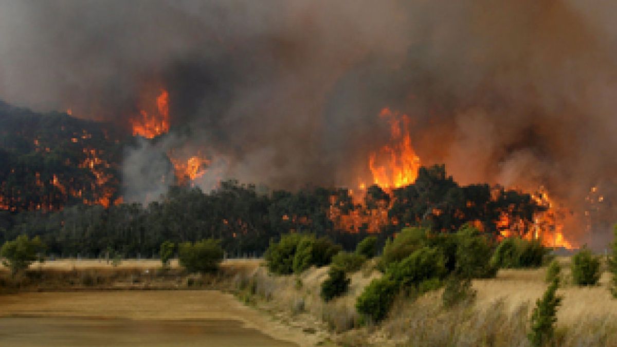 El balance de los incendios de Australia llega a los 171 muertos