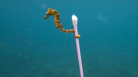 La premiada foto que muestra lo que le estamos haciendo a los océanos