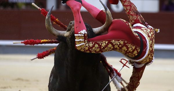 Foto: El torero gaditano Ginés Marín sufre una voltereta por su segundo toro, Parcelero, de la ganadería Garcigrande, en el decimoséptimo festejo de la Feria de San Isidro. (EFE)