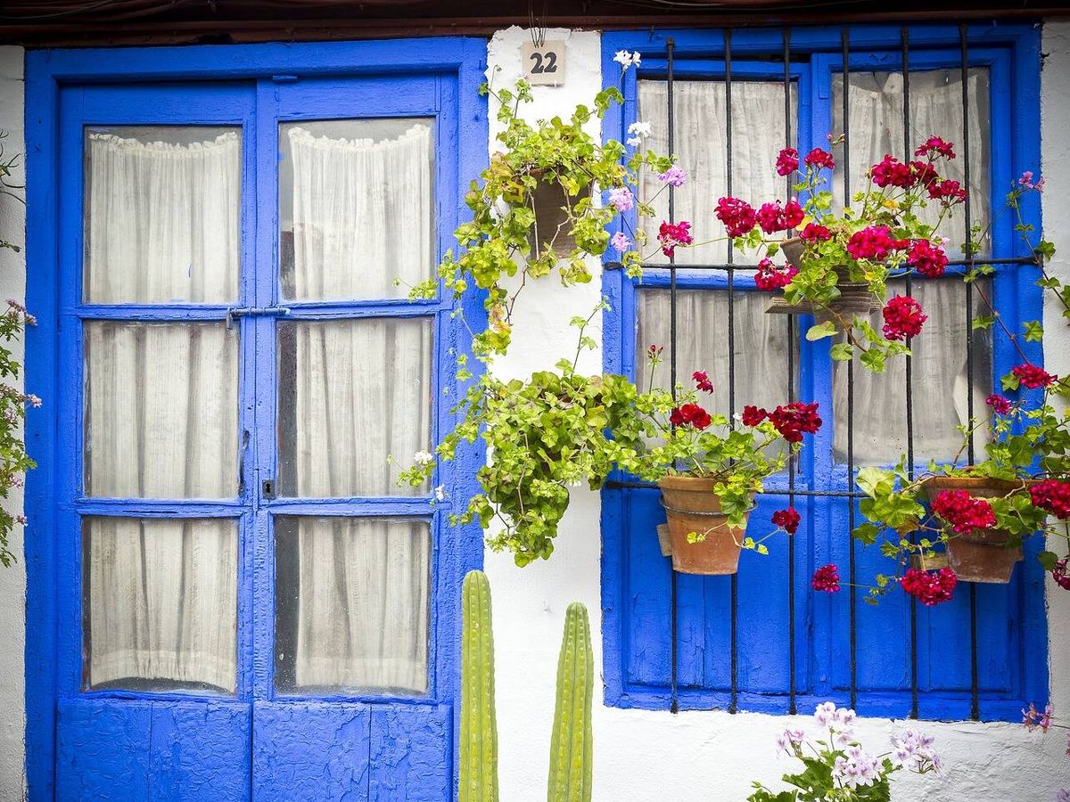 Foto: Los patios de Córdoba abren sus puertas en mayo: cómo visitarlos, precios y horarios (David Sanchez para Pixabay)