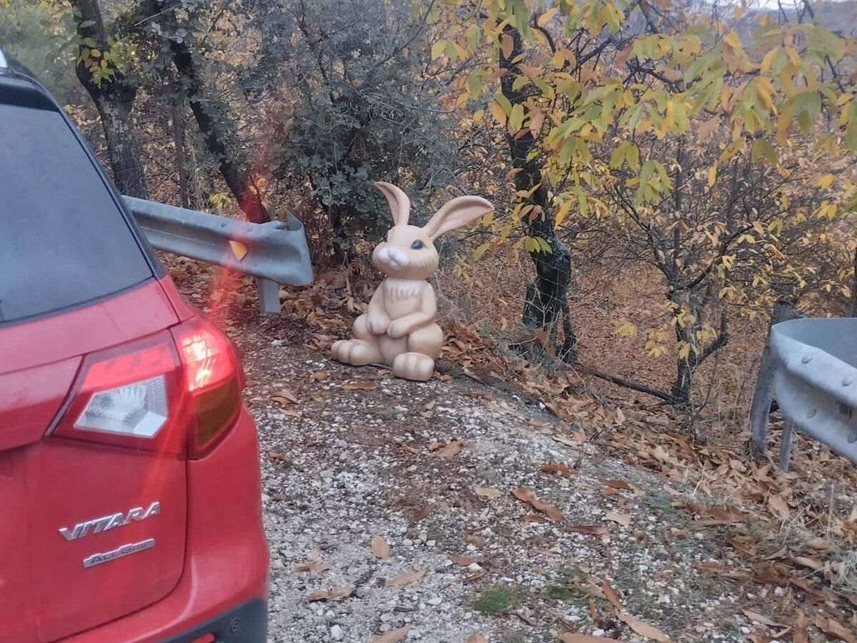 Foto: Lugar donde fue encontrada la estatua del conejo de Parauta. (EC)